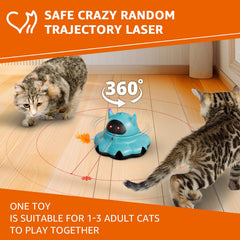 MIKK cat laser toy remote-control session during indoor playtime.