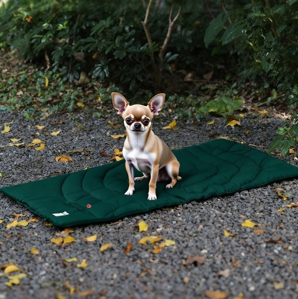 MikooMikoo Dog Travel Mat bullseye pattern guides training rests.