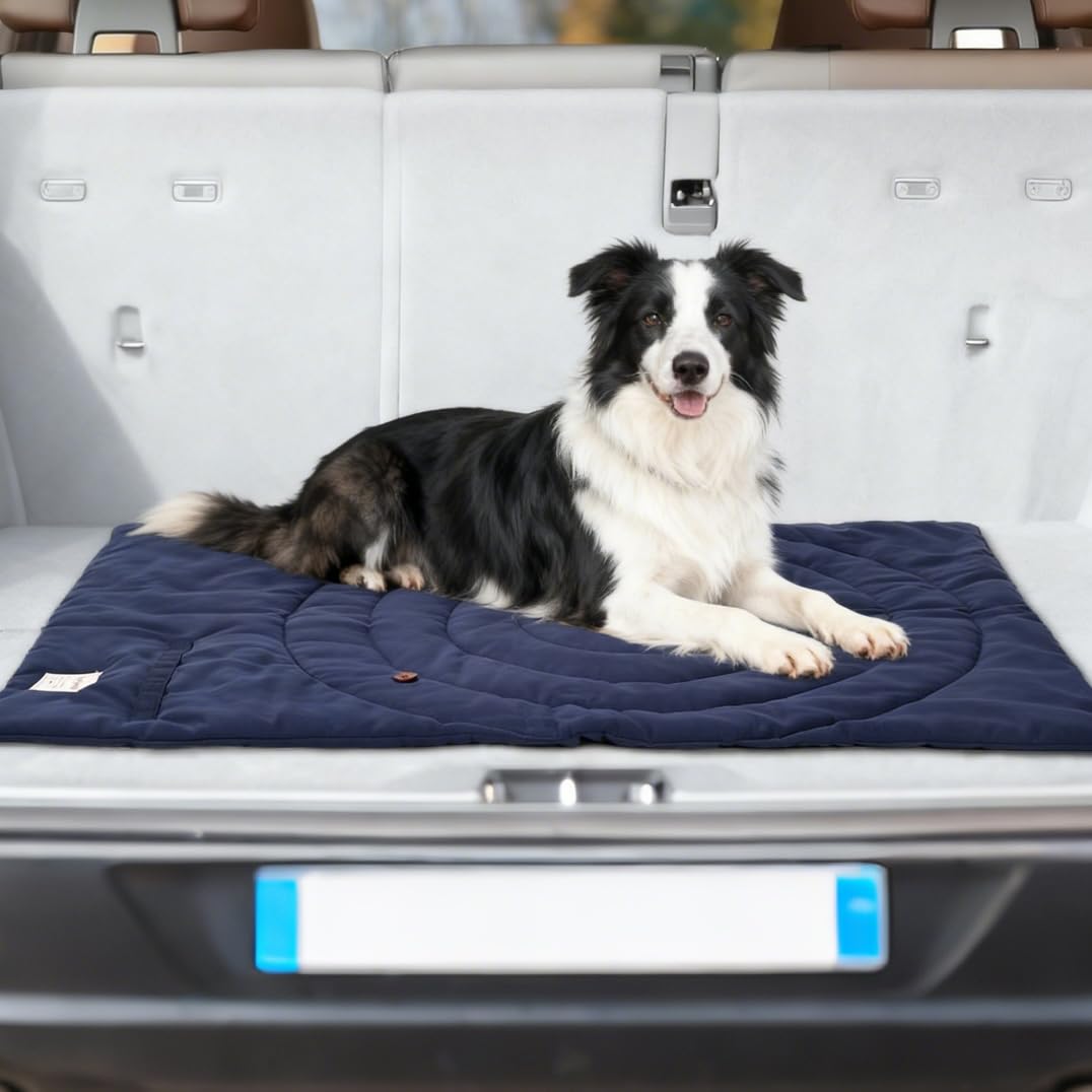 MikooMikoo Dog Travel Mat in camping setup for outdoor adventures.