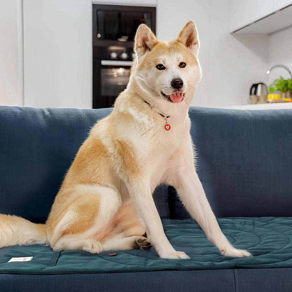 MikooMikoo dog travel mat open green large for comfortable indoor rest