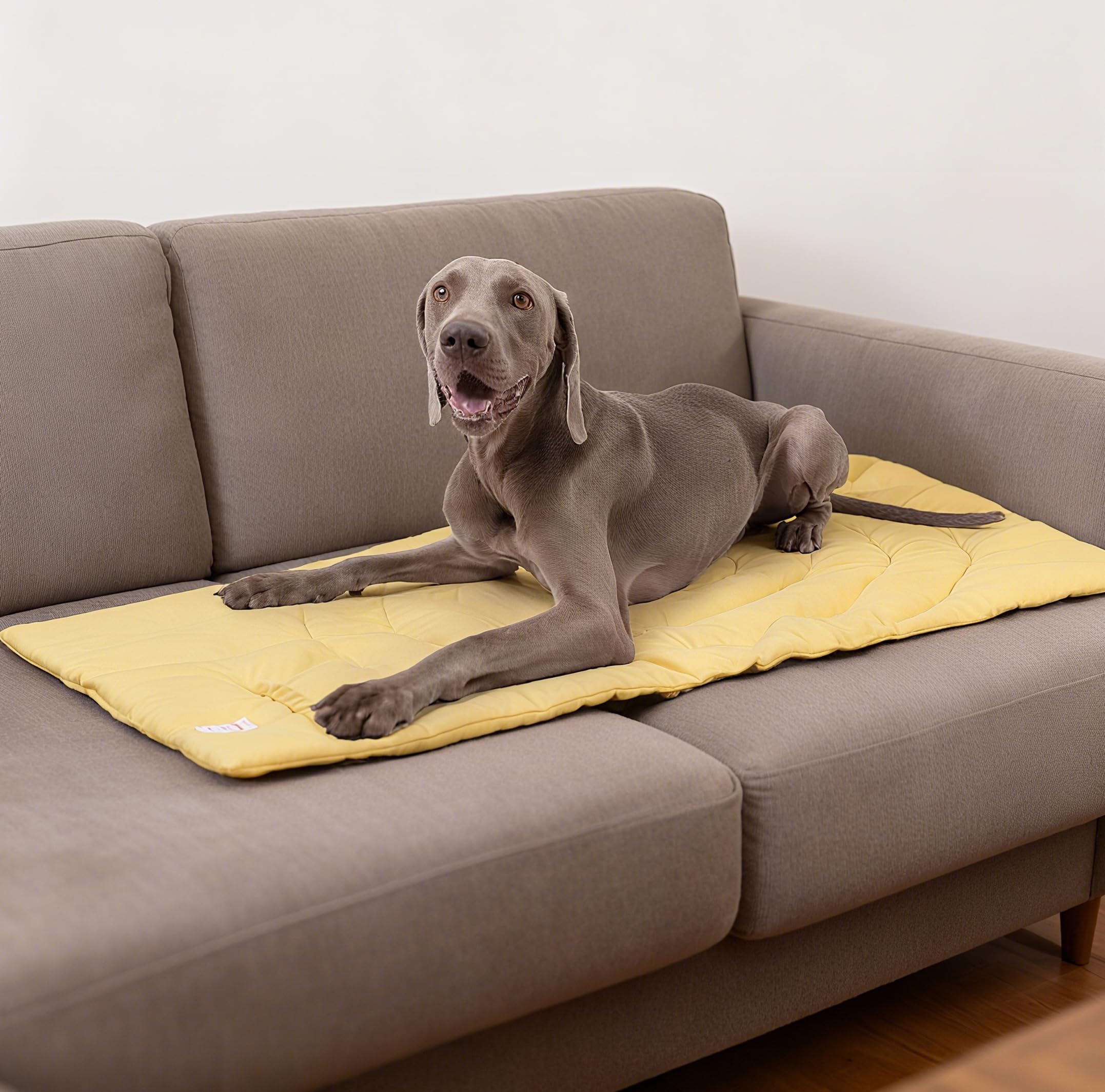 MikooMikoo Dog Travel Mat waterproof layer blocks ground moisture for outdoor use.