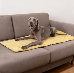 MikooMikoo Dog Travel Mat waterproof layer blocks ground moisture for outdoor use.