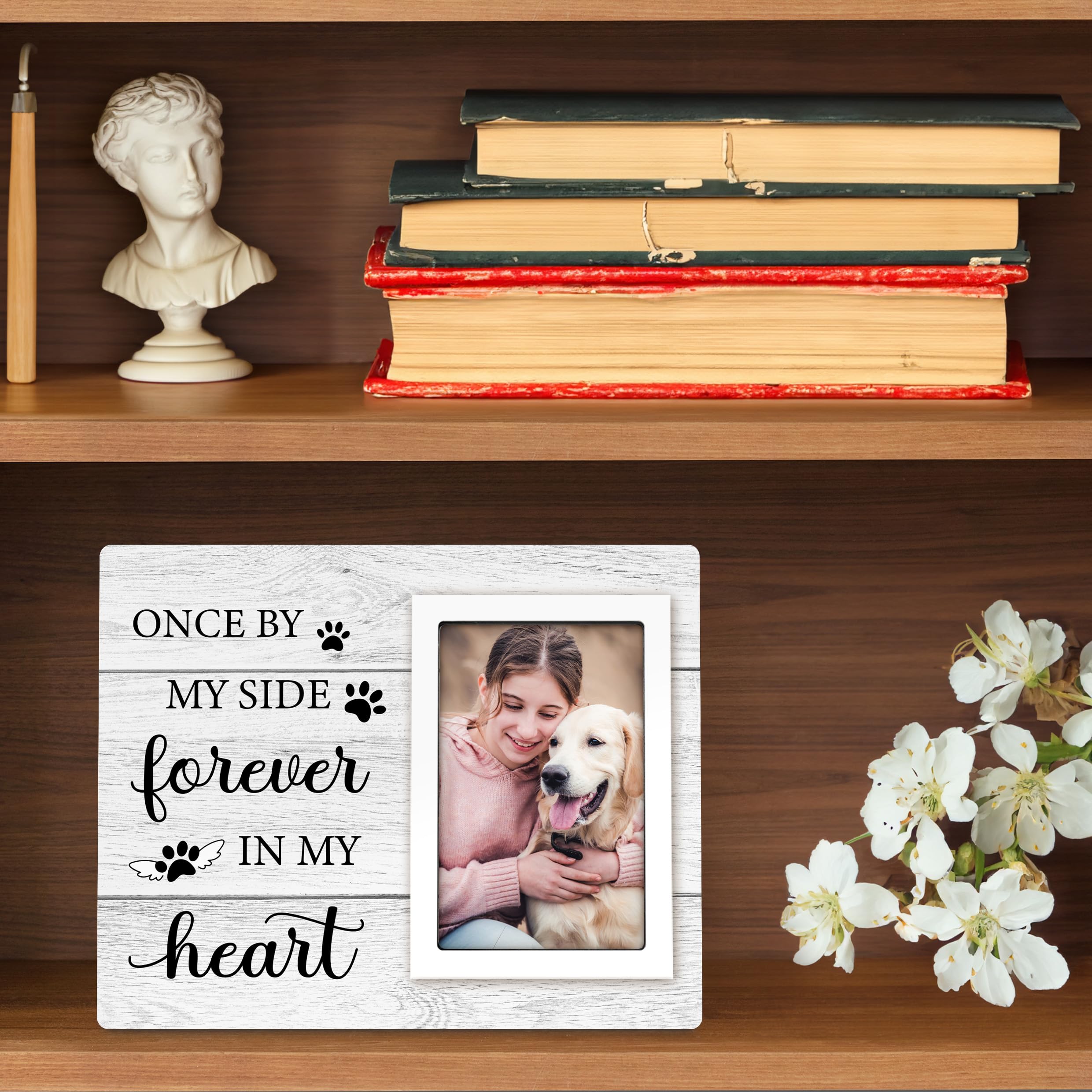 Milcier frame display for wall or tabletop in living spaces