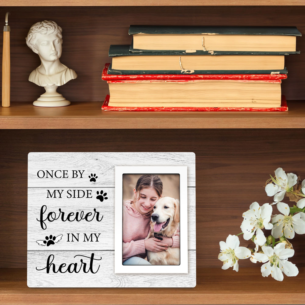Milcier frame display for wall or tabletop in living spaces