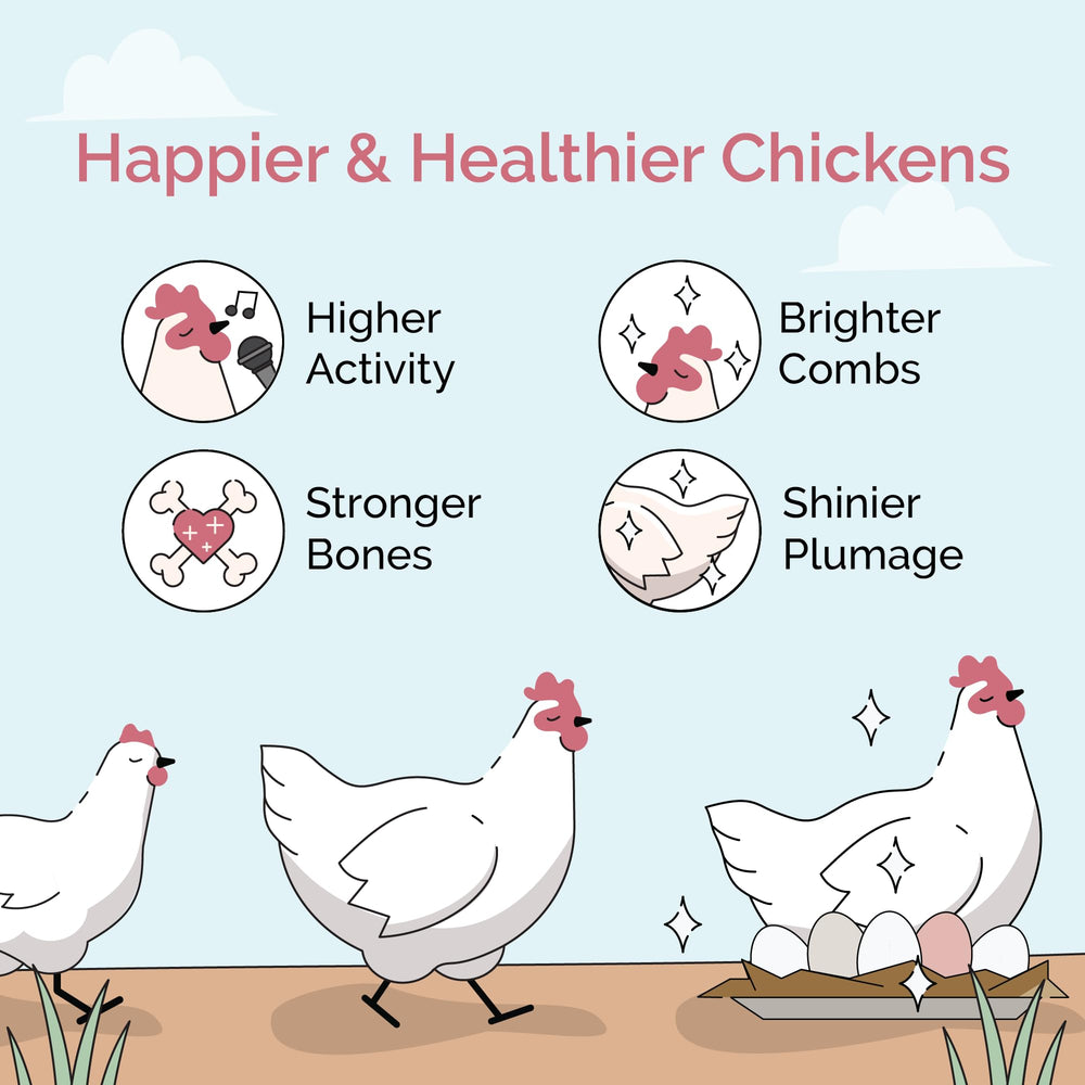 Mile Four grit 1 lb per month aligns with hens eating as needed.
