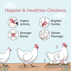 Mile Four grit 1 lb per month aligns with hens eating as needed.