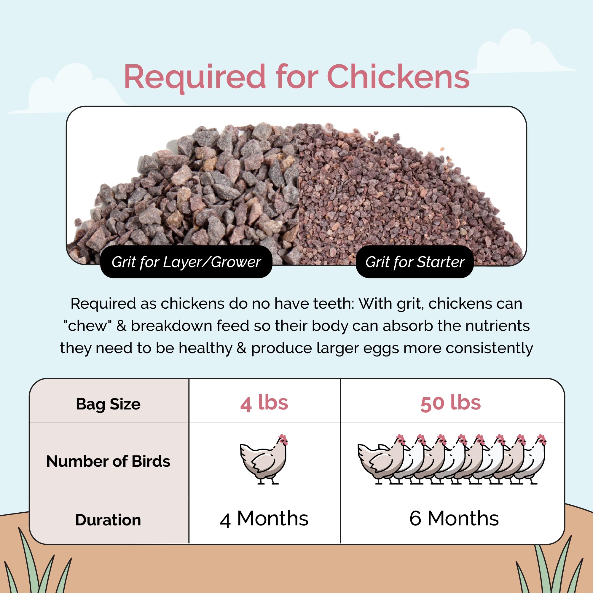 Mile Four grit accessible beside feed improves feed efficiency.
