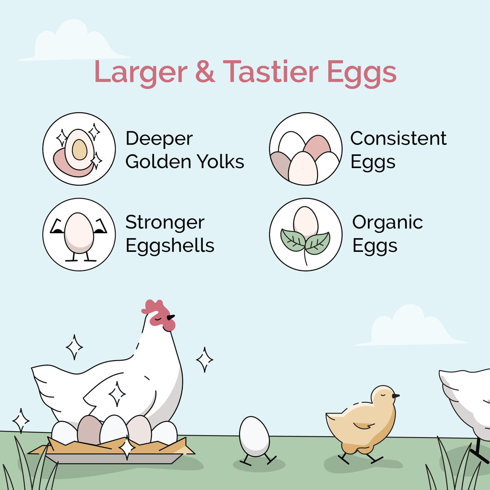 Mile Four corn-free soy-free feed label signals non-medicated, clean ingredients