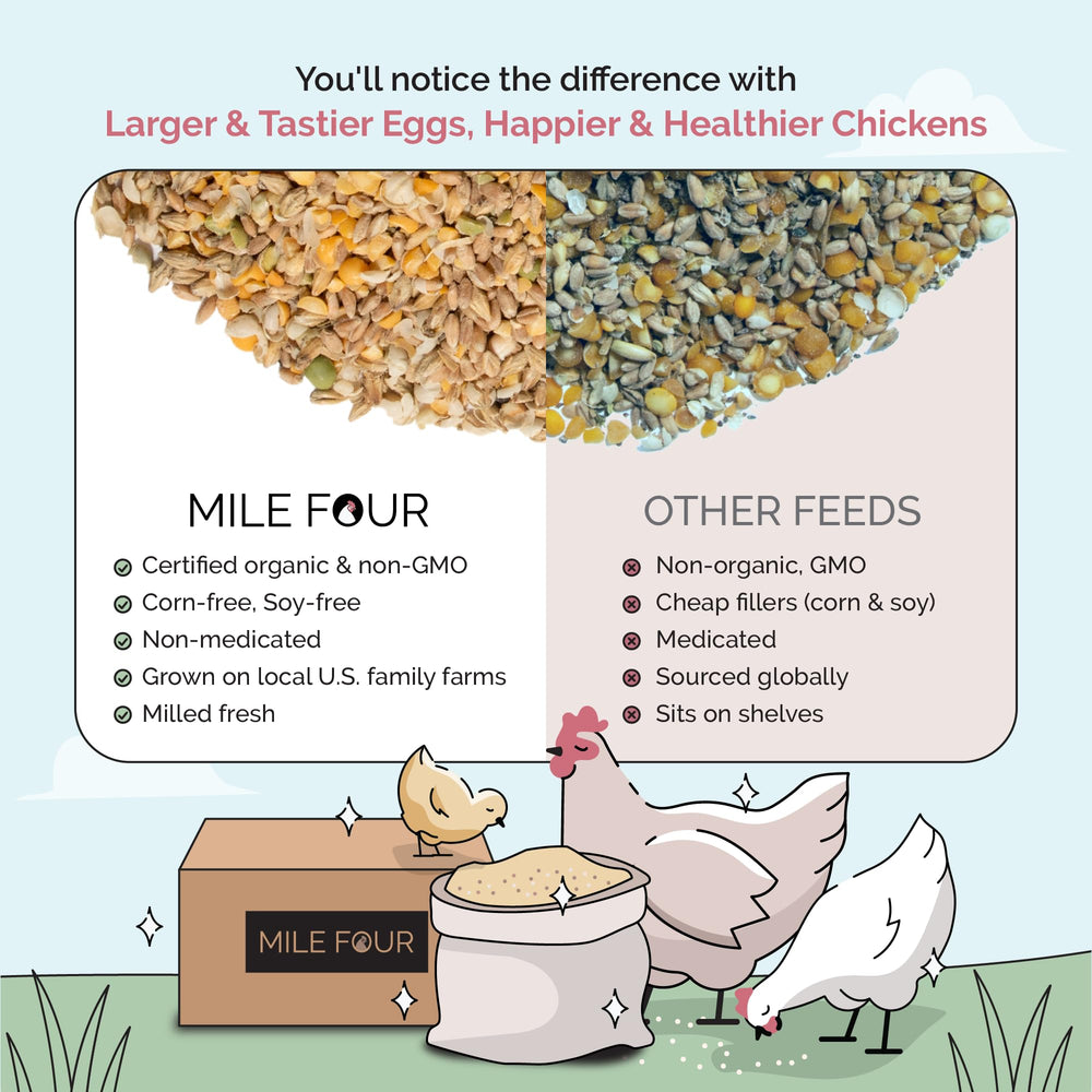 Mile Four feed types include whole grain, pellet, and mash for flock flexibility