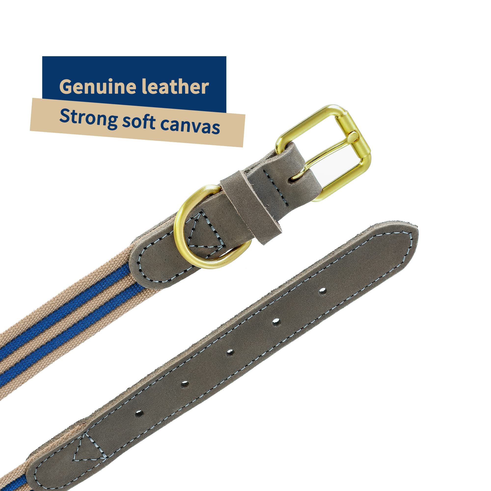 Mile High Life D-ring and buckle assembly demonstrates secure everyday fastening.