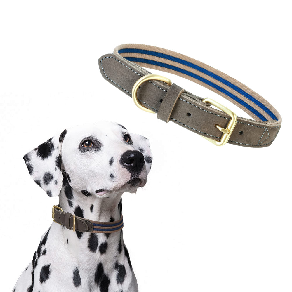 Mile High Life collar closeup shows premium leather tip and durable stitching for daily wear.