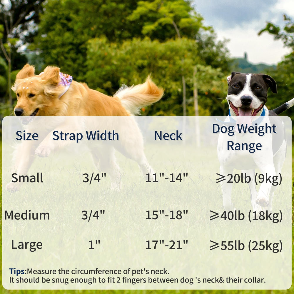 Mile High Life gift-ready packaging highlights thoughtful present for dog owners.