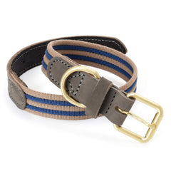Mile High Life heavy-duty canvas collar buckle emphasizes rust-proof hardware for long-lasting use.