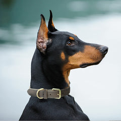 Mile High Life leather tips detail with color-matched accents for stylish durability.