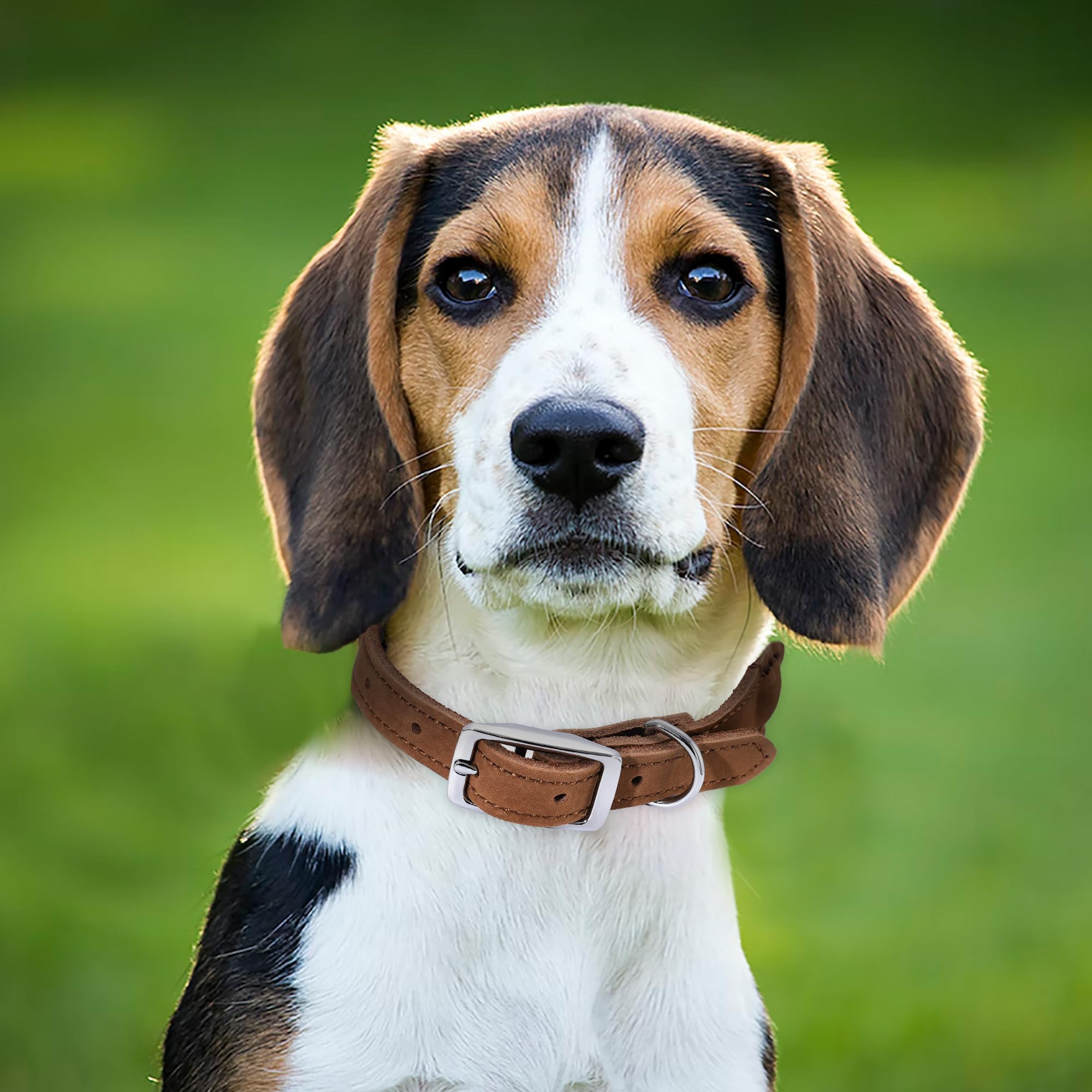 Mile High Life rope dog collar soft cotton rope texture ideal for comfy daily walks.