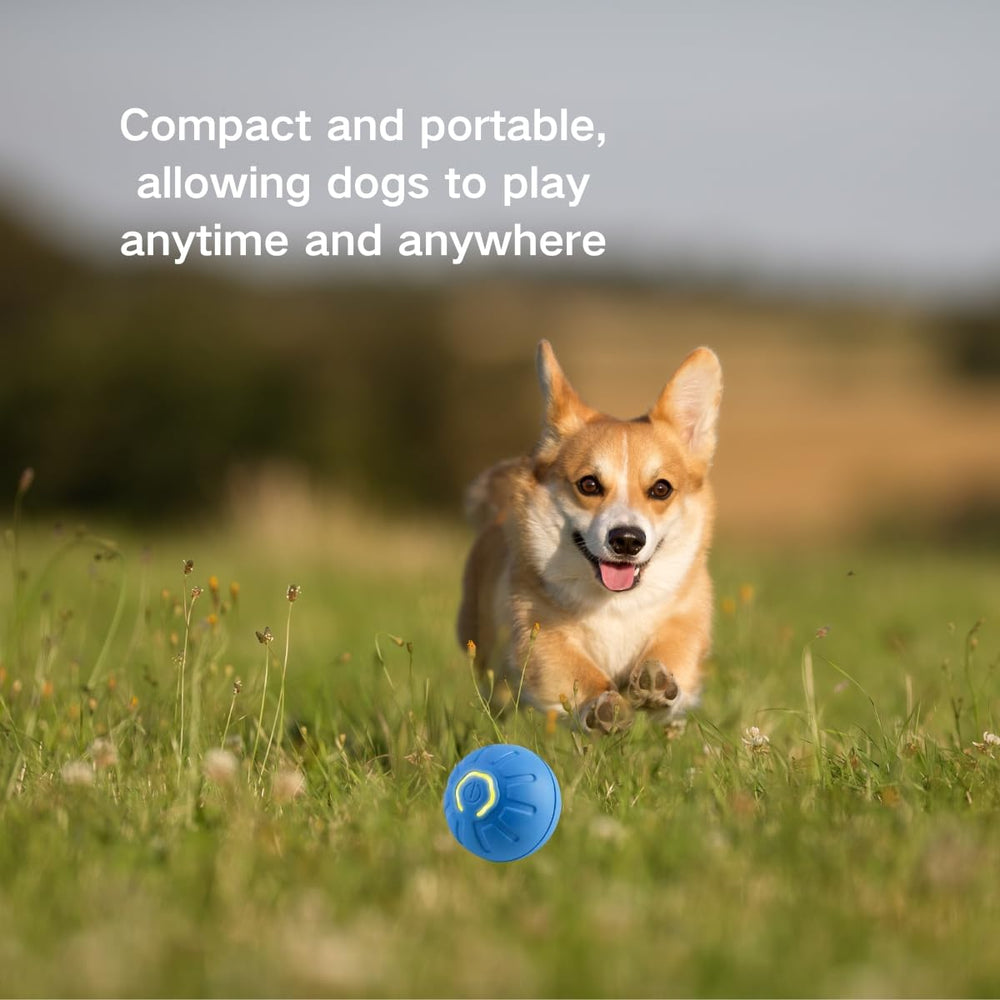 MILEDY Shaky Ball Automatic Movement rolls across floor surfaces for chasing fun