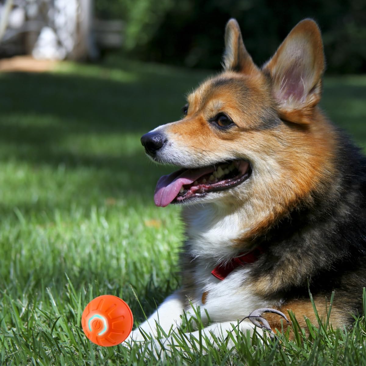 MILEDY Shaky Ball Standby Mode conserves energy when not in use