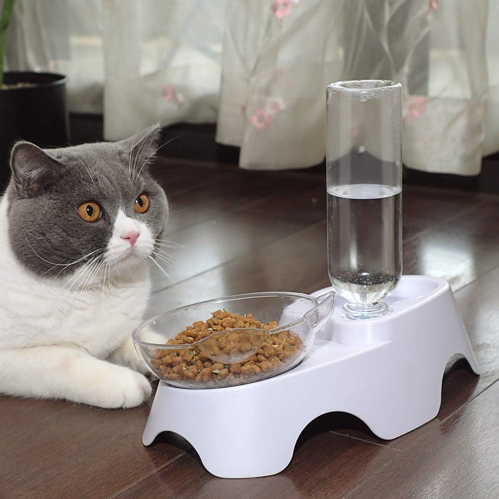 MILIFUN cat-and-dog-feeding-communication promotes calmer mealtimes with shared bowls.