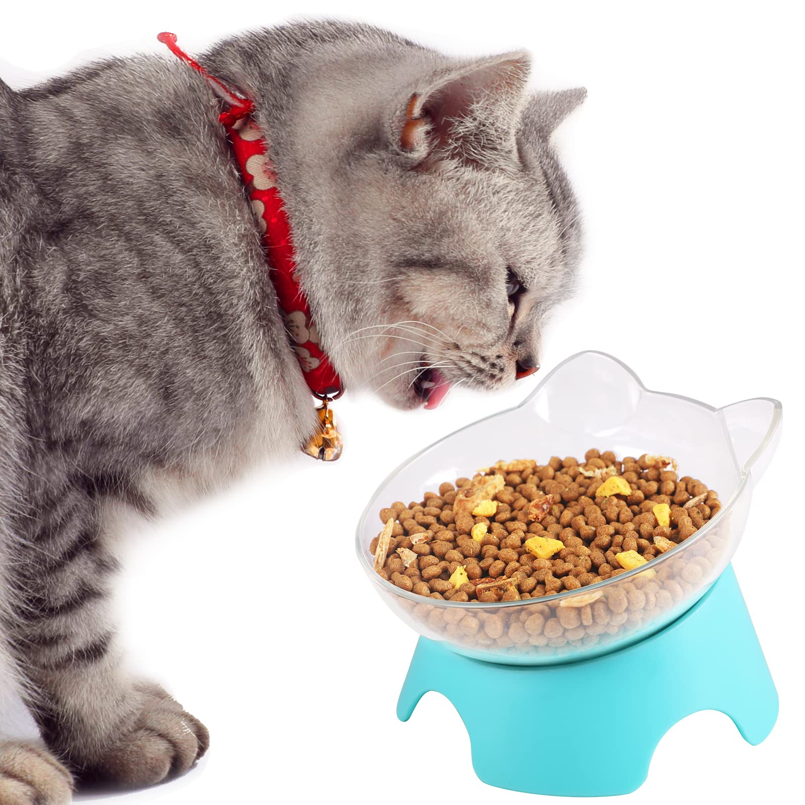 MILIFUN compact 5-inch diameter bowl ideal for kittens and small pets