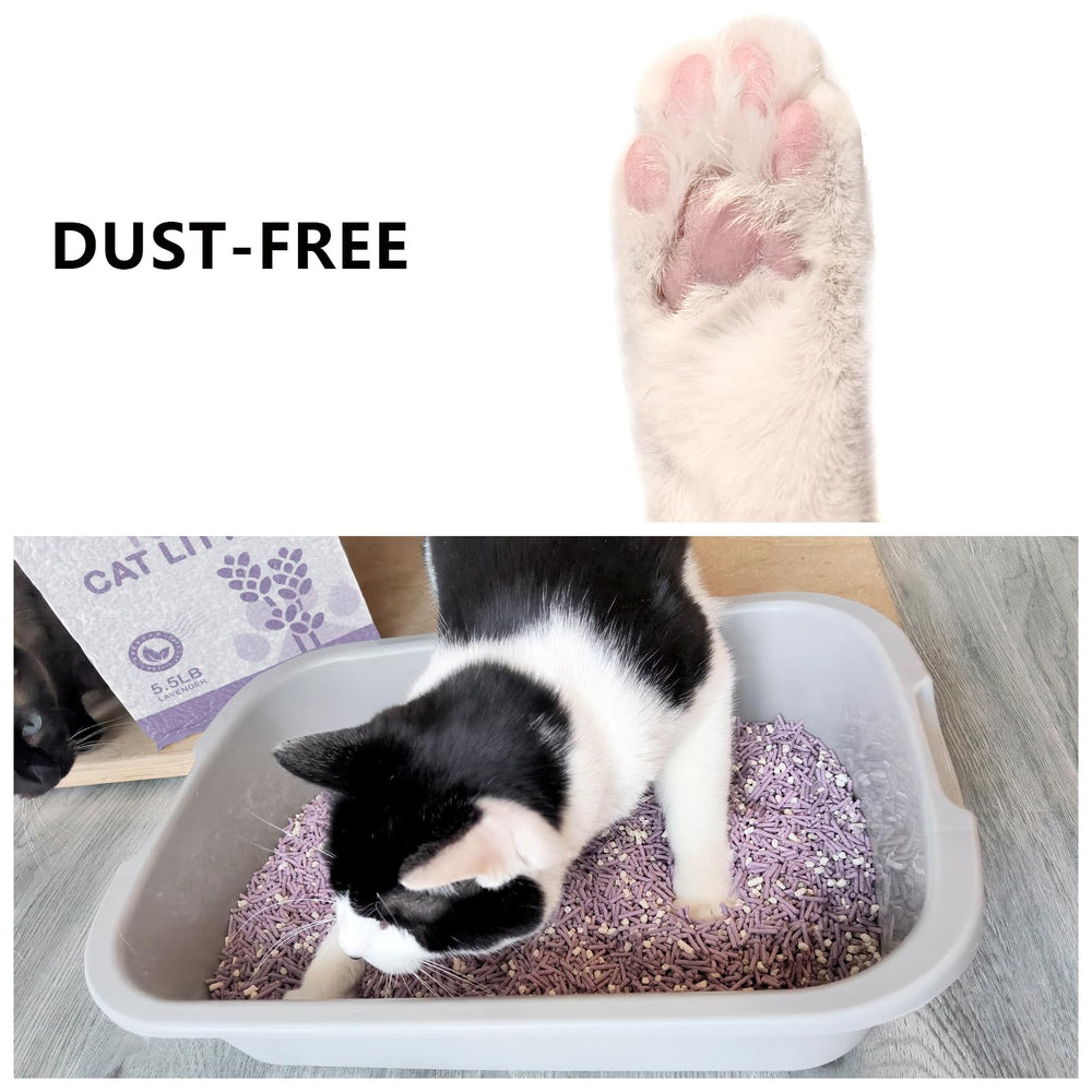 MILIFUN Tofu Cat Litter deodorizing granules refresh indoor air after use.