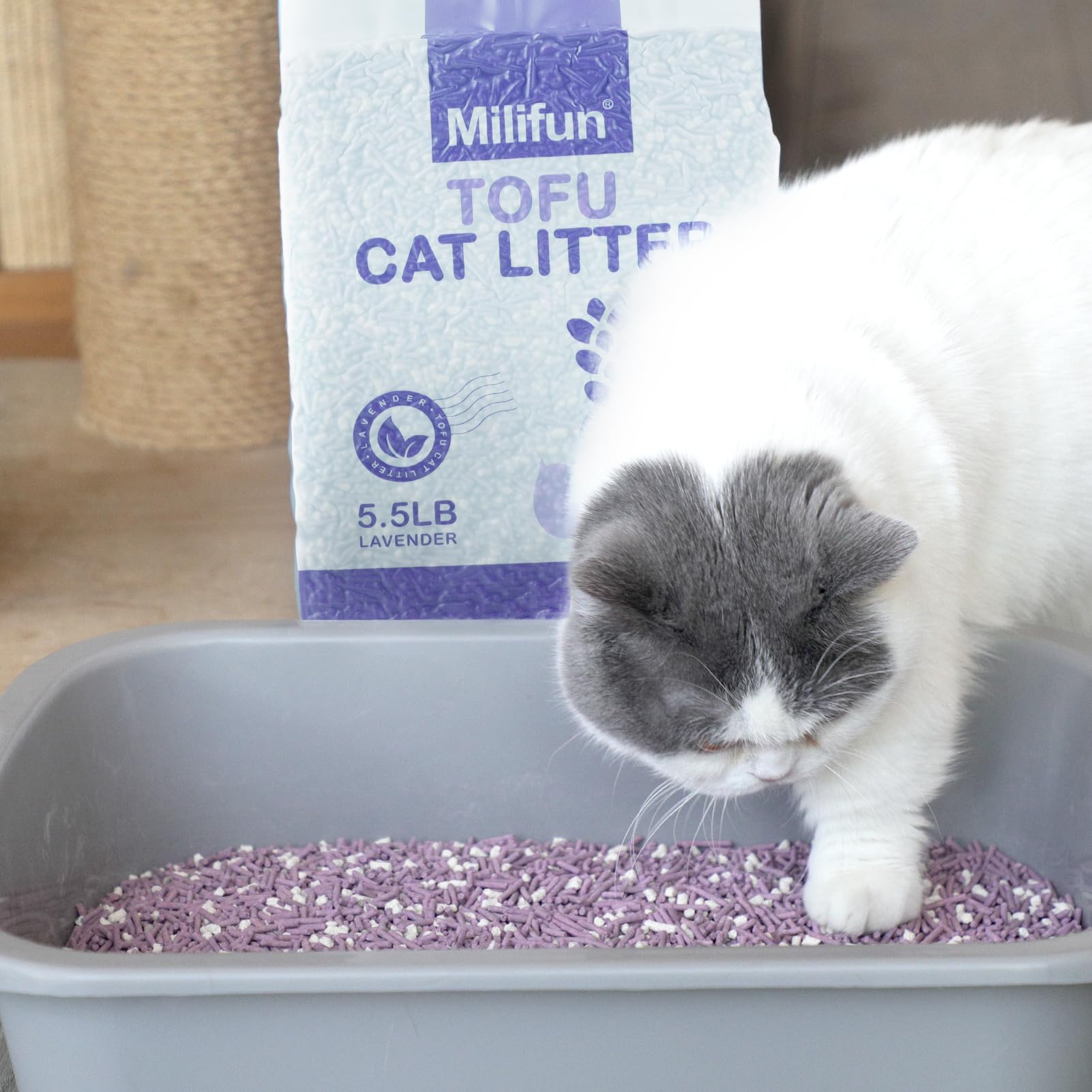 MILIFUN Tofu Cat Litter low-dust performance for allergy-friendly homes.