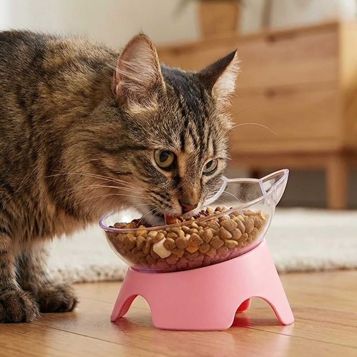 MILIFUN transparent cat bowls let you see food and water clearly during meals.