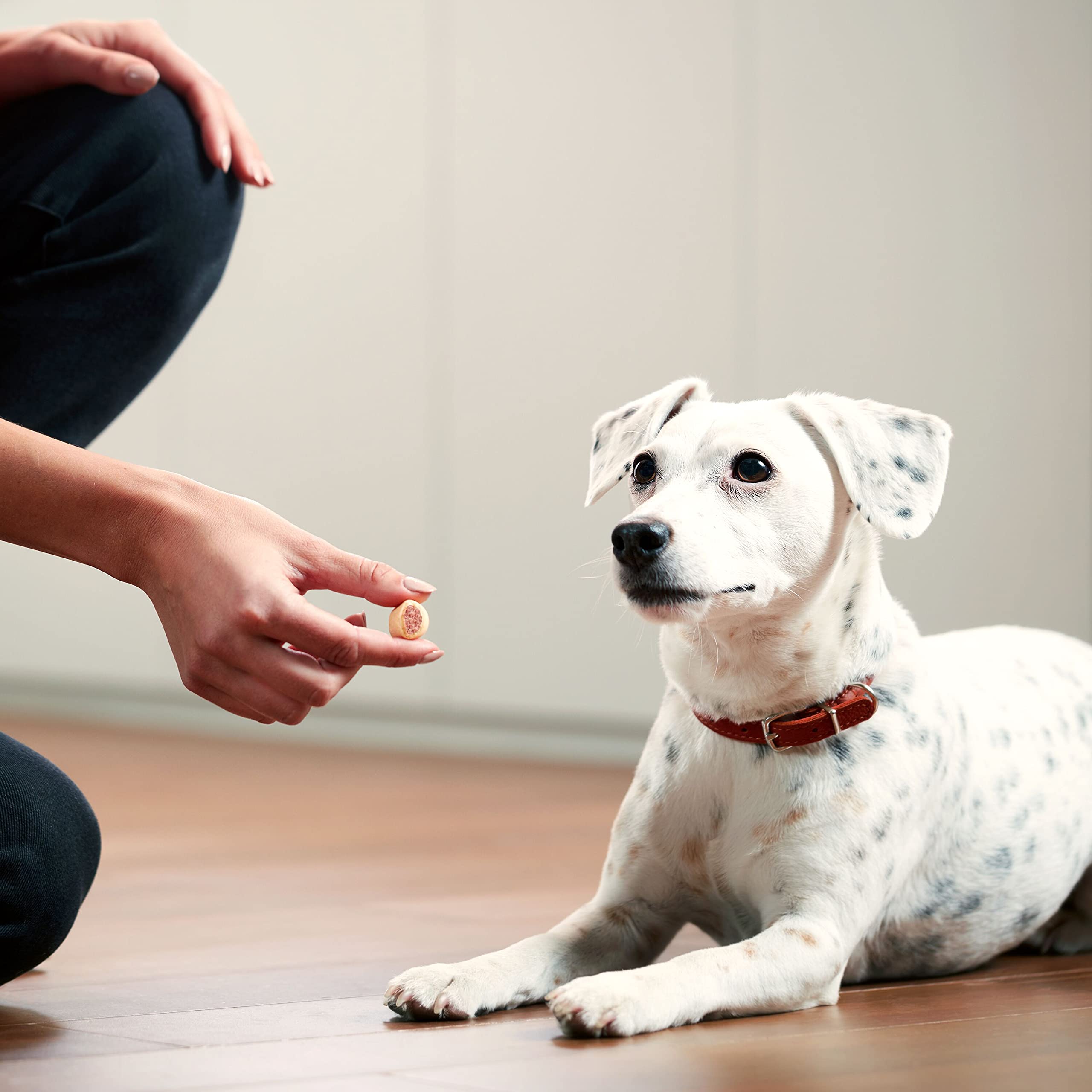 Milk-Bone MaroSnacks breakable pieces for small mouths or frequent treats
