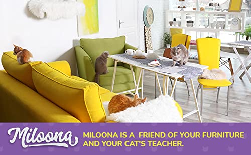 Miloona kitty-action shows how cats interact with the protector.