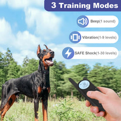 MIMOFPET dog training collar modes enable gentle, configurable correction during learning sessions.