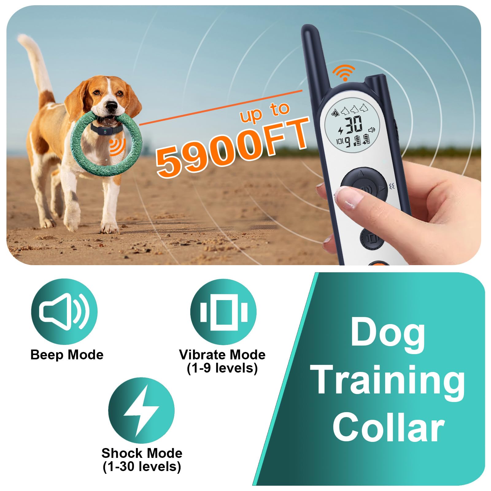 MIMOFPET two-dog fence setup illustrates scalable boundaries for two pets.
