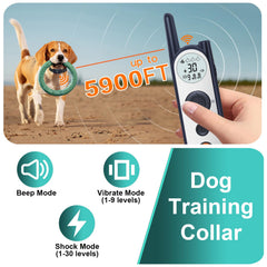 MIMOFPET two-dog fence setup illustrates scalable boundaries for two pets.