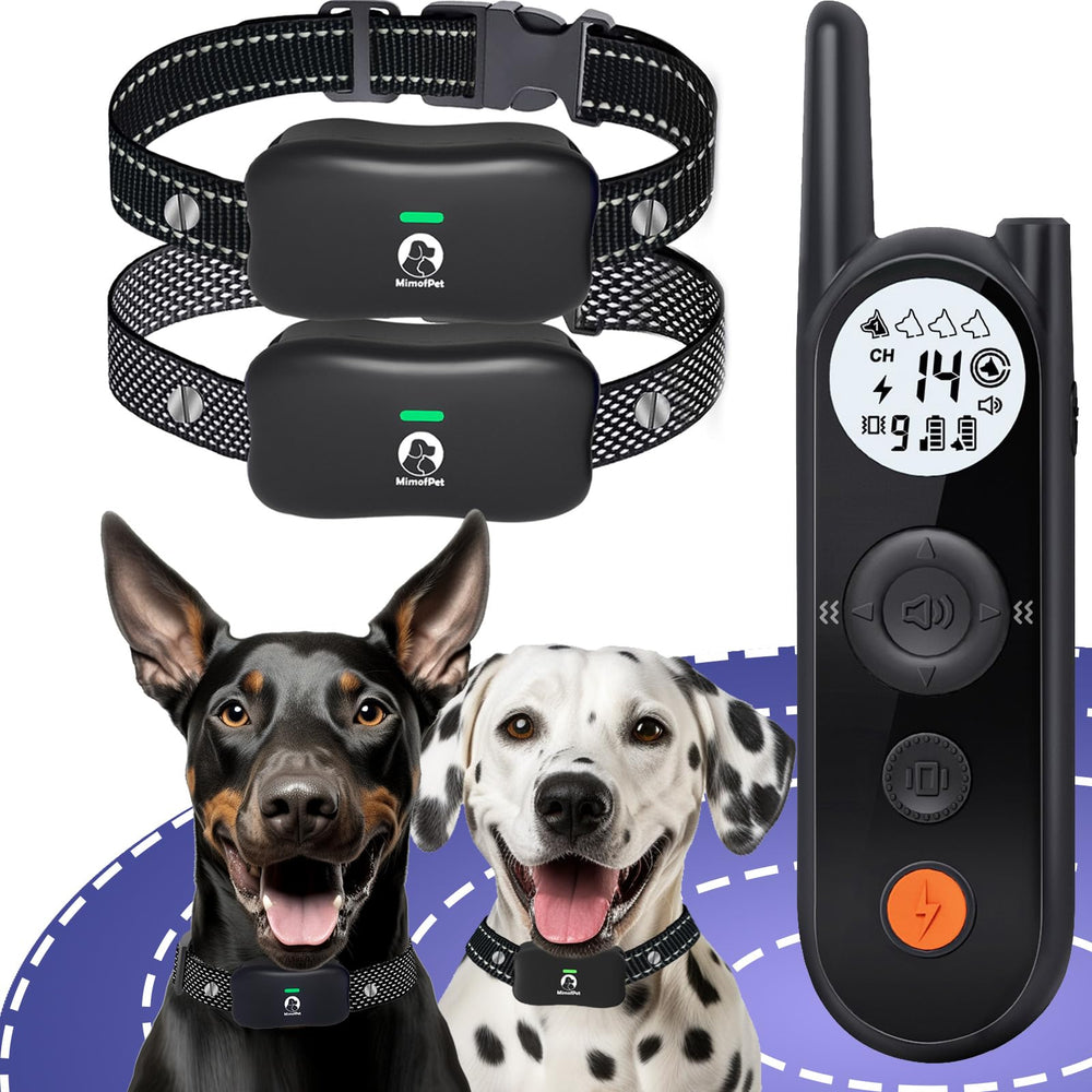 MIMOFPET wireless dog fence setup boundary demonstrates quick, portable containment for outdoor adventures.
