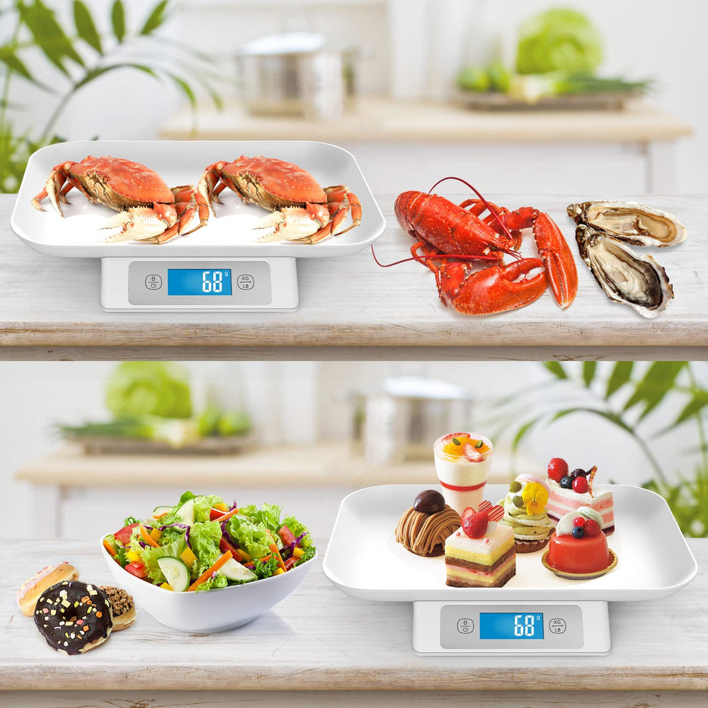 MINDPET-MED digital pet scale tray cleanup shows easy removal and washing.