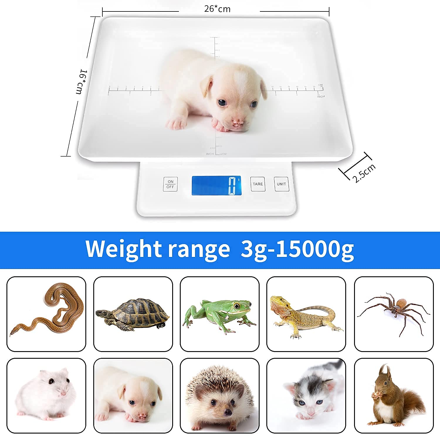 MINDPET-MED digital pet scale tray-with-scale-lines aids accurate length and weight checks.