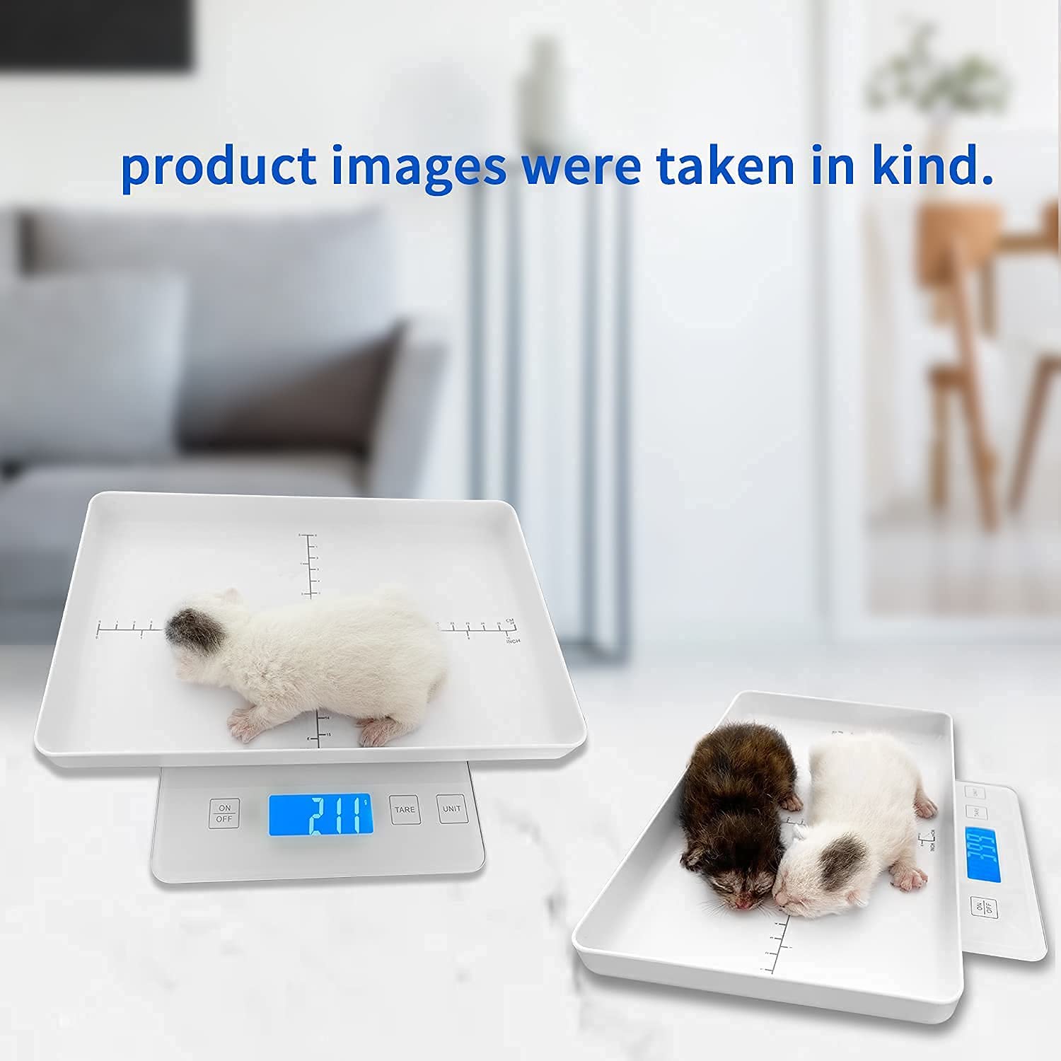 MINDPET-MED digital pet scale use-in-whelping-room helps monitor litters safely.