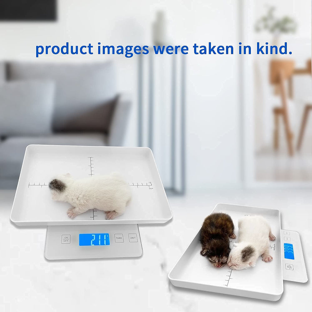 MINDPET-MED digital pet scale use-in-whelping-room helps monitor litters safely.