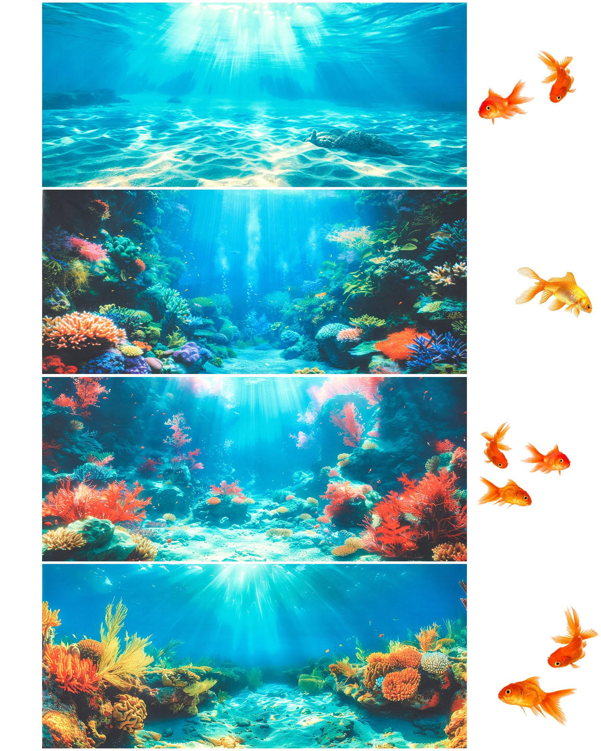 Mindsoft coral-reef background adds depth and vibrant color to your aquarium.