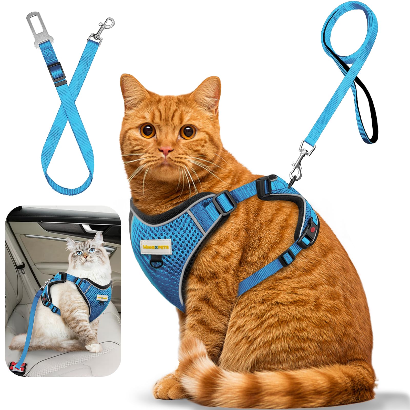 MingXpets cat harness blue close-up showing escape-proof design for secure outdoor walks.