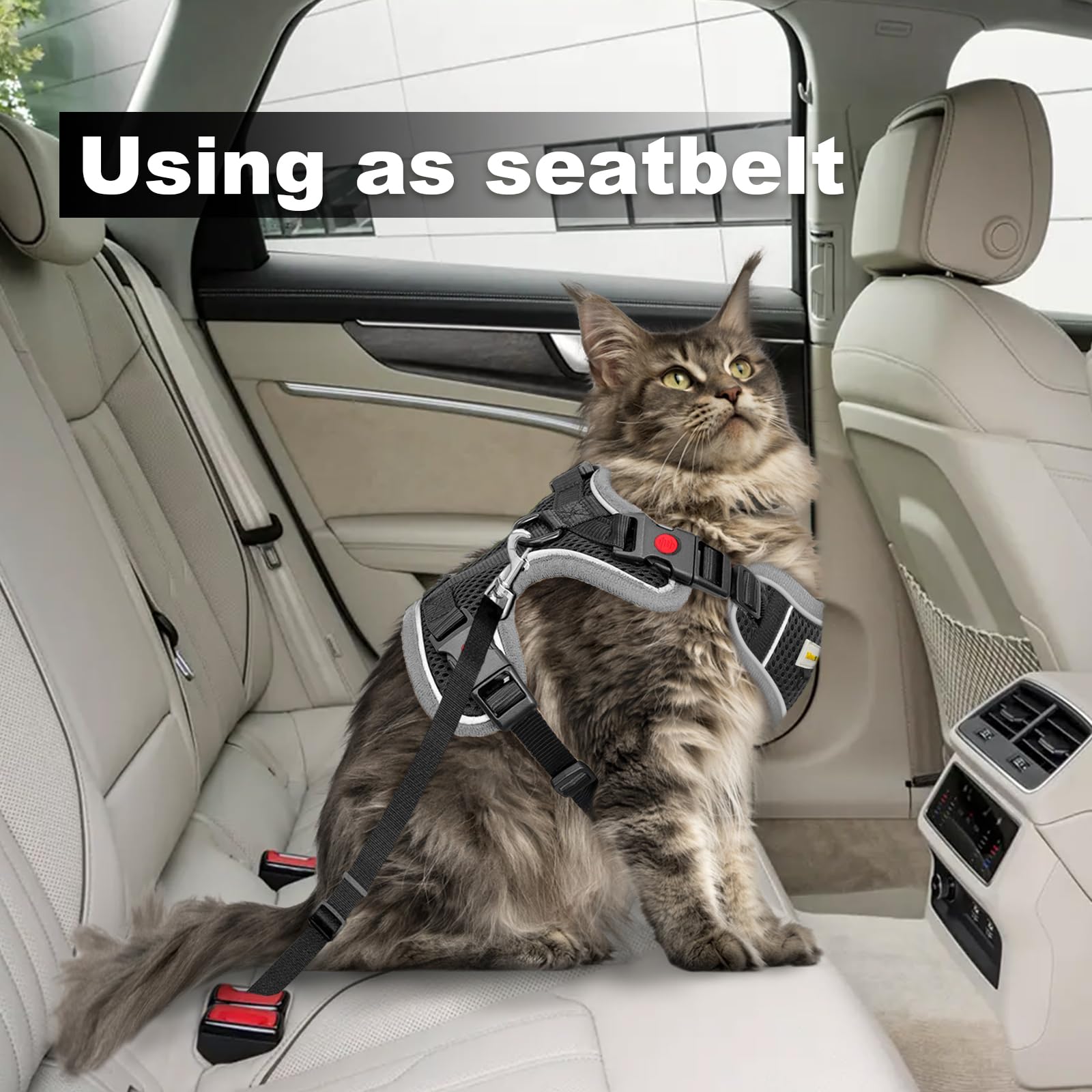 MingXpets four-buckle escape-proof system helps keep your cat secure outdoors
