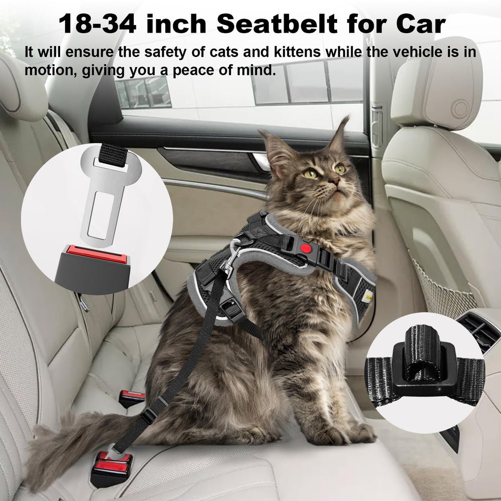 MingXpets cat harness in use during outdoor walk, soft mesh keeps cool.