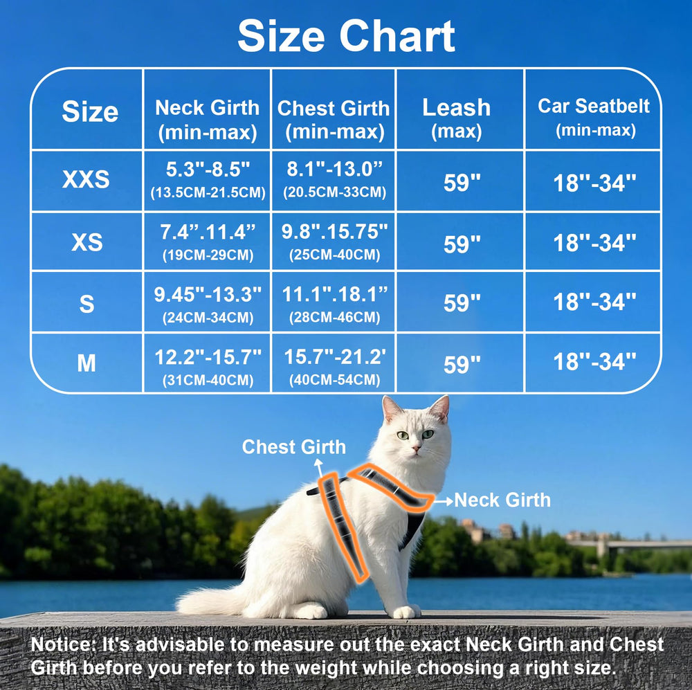 MingXpets cat harness and leash setup on a cat, secure fit for daily walks.