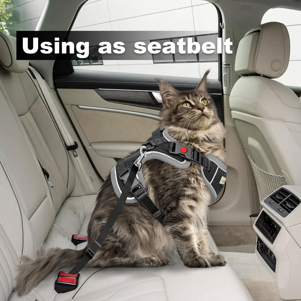 MingXpets cat harness travel-ready for walks and trips