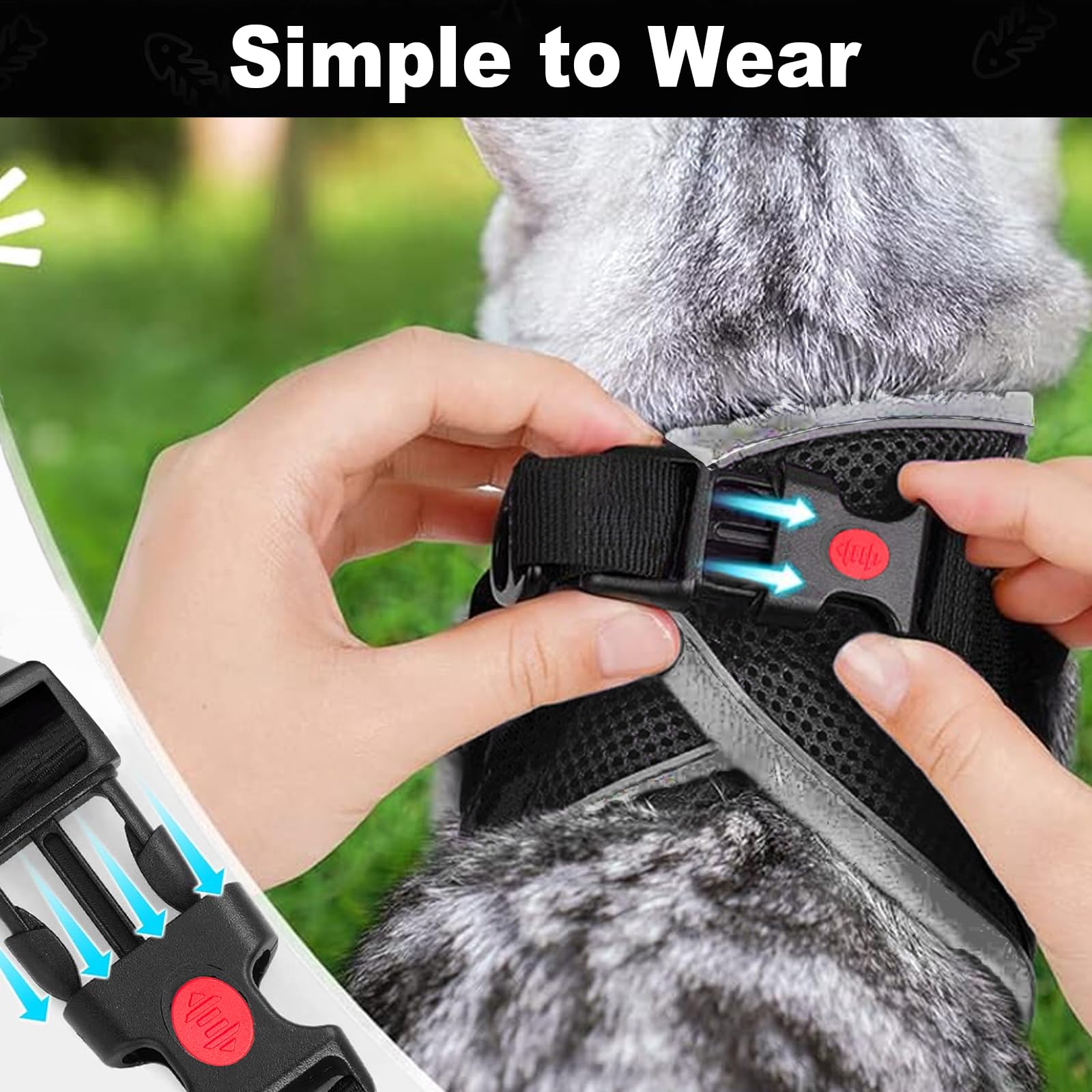 MingXpets cat leash set included for easy travel and training
