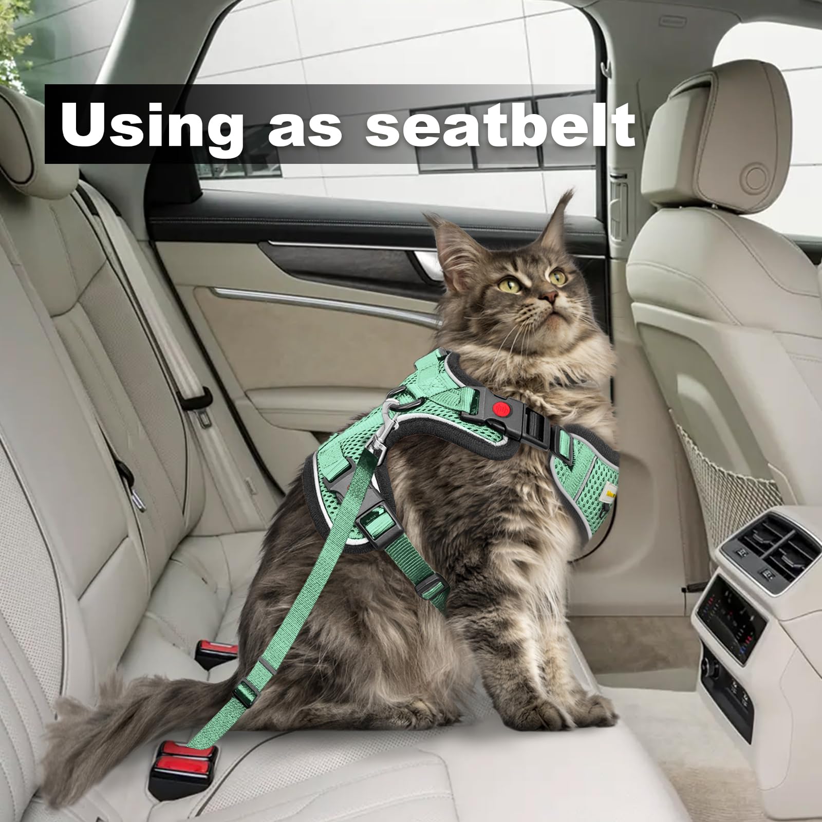 MingXpets travel car strap paired with harness for safe transport