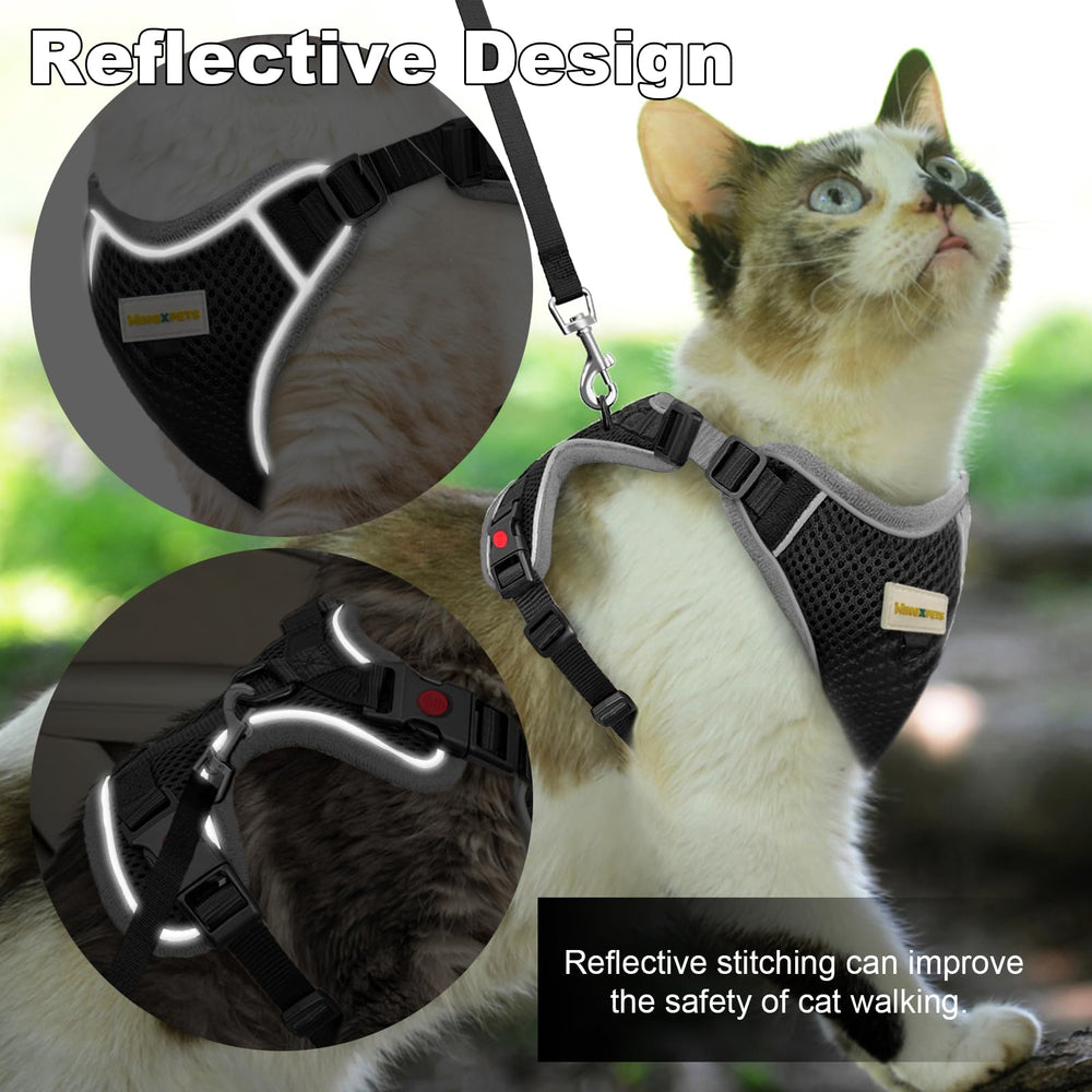 MingXpets walking and travel cat set with car leash for on-the-go outings