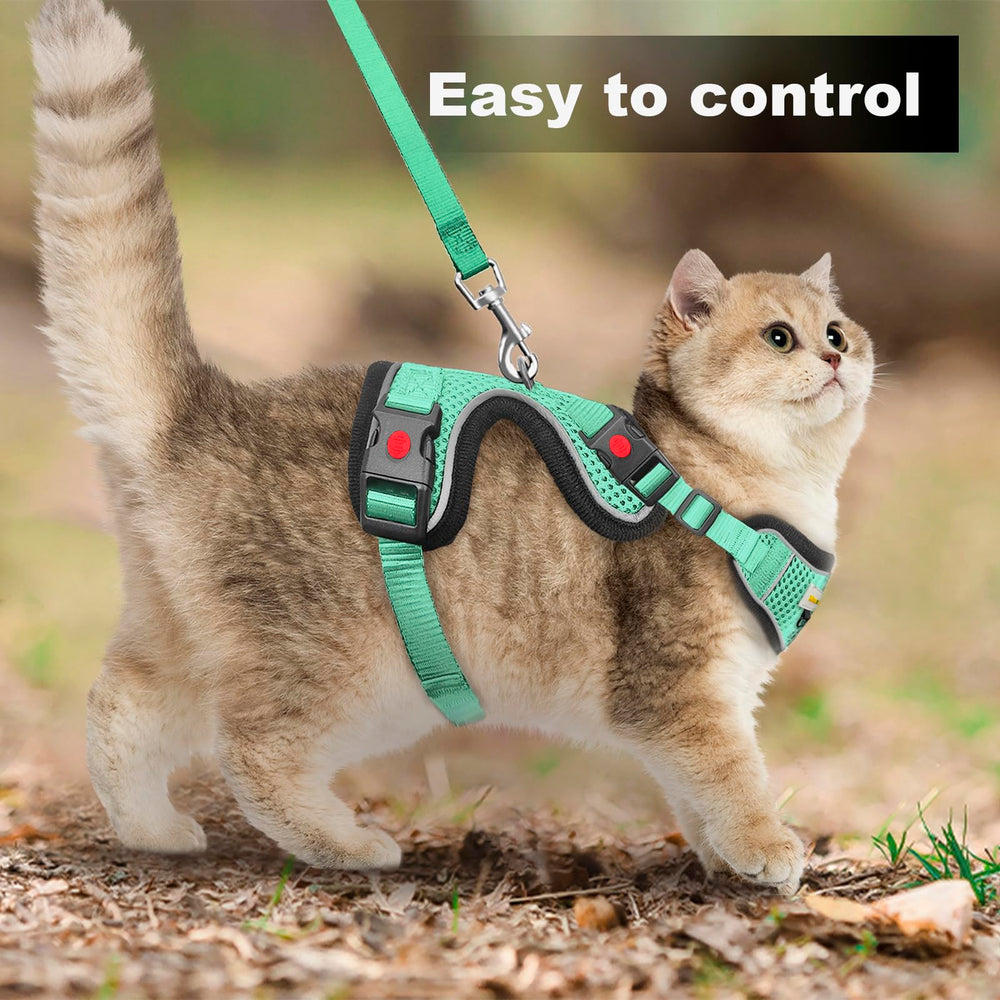 MingXpets green cat harness on cat ready for walking