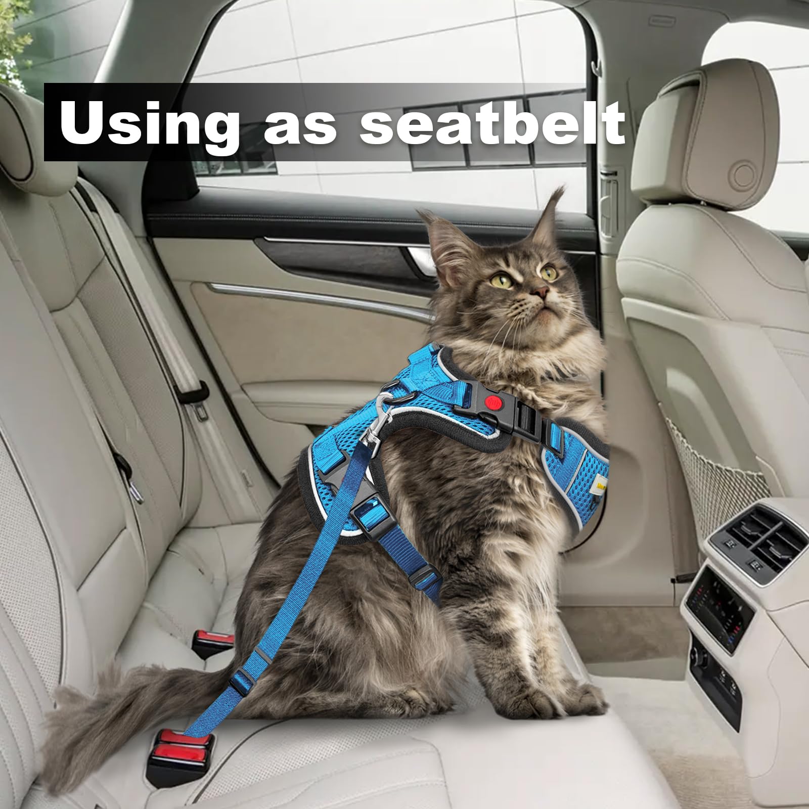 MingXpets travel and walk usage scene showing versatile harness for travel and training.