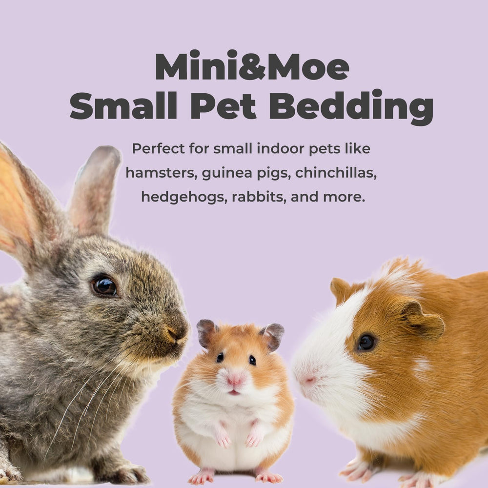 mini&moe rabbit litter bedding creates layered habitats for enrichment.