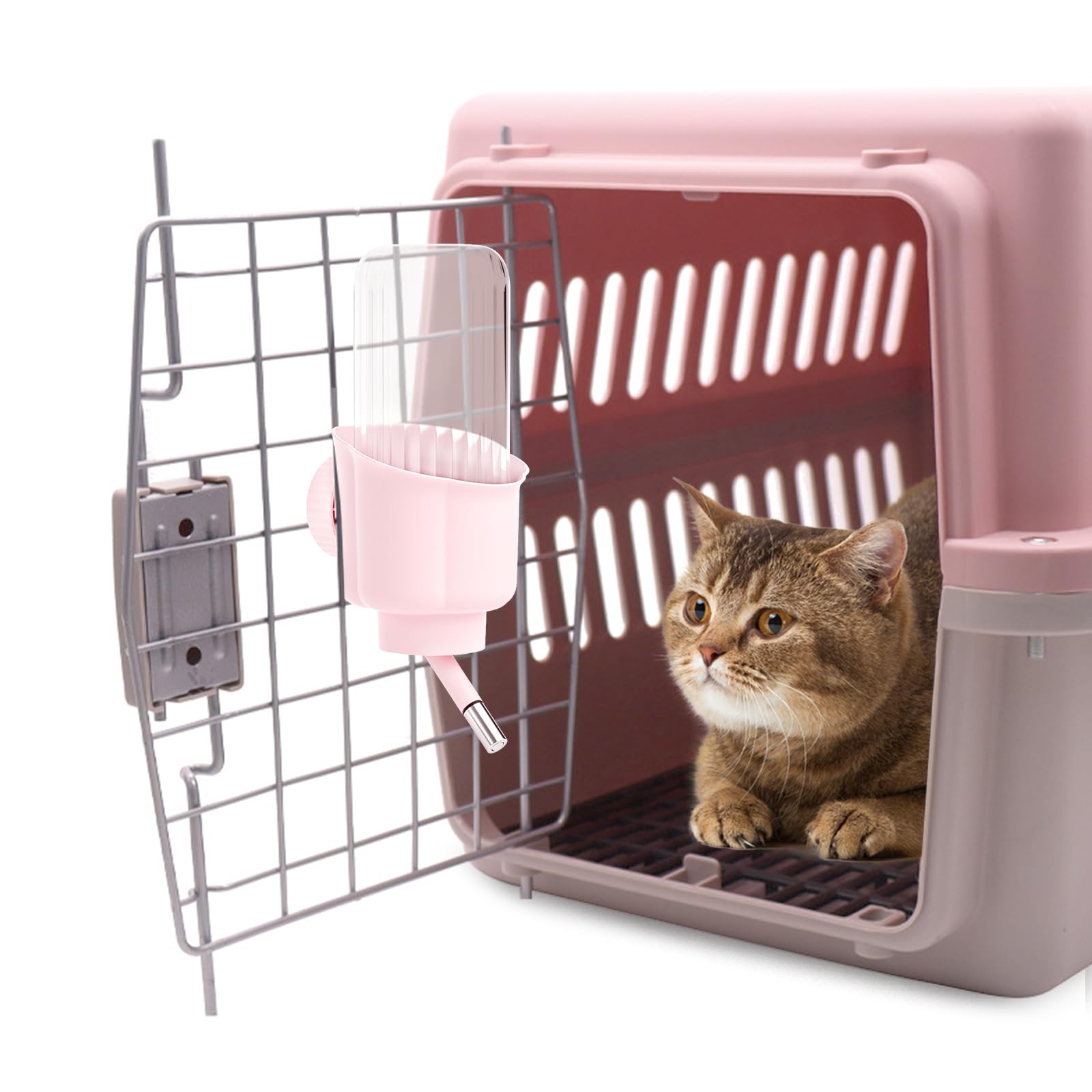 mini&moe BPA-free materials ensure safe daily drinking routines.