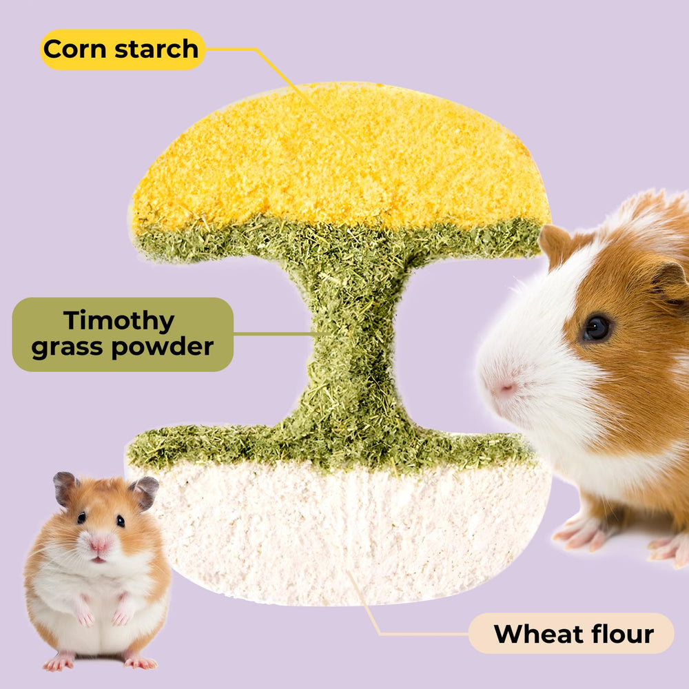 mini&moe Multi-functional enrichment for cage decor and snack holding
